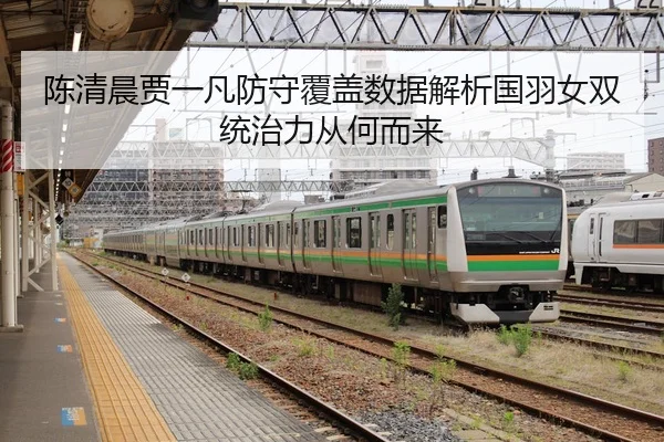 陈清晨贾一凡防守覆盖数据解析国羽女双统治力从何而来