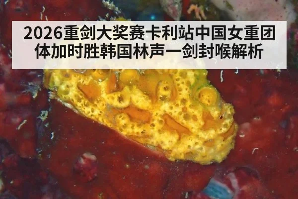 2026重剑大奖赛卡利站中国女重团体加时胜韩国林声一剑封喉解析
