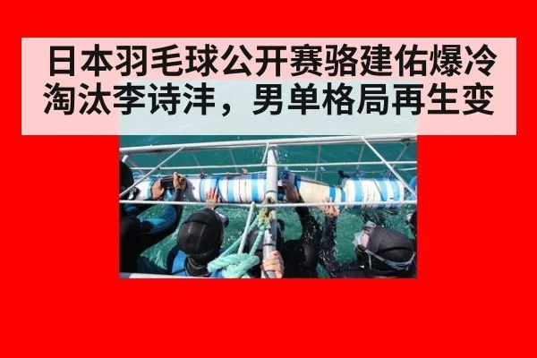 日本羽毛球公开赛骆建佑爆冷淘汰李诗沣，男单格局再生变