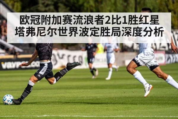 欧冠附加赛流浪者2比1胜红星 塔弗尼尔世界波定胜局深度分析 | KAIYUN